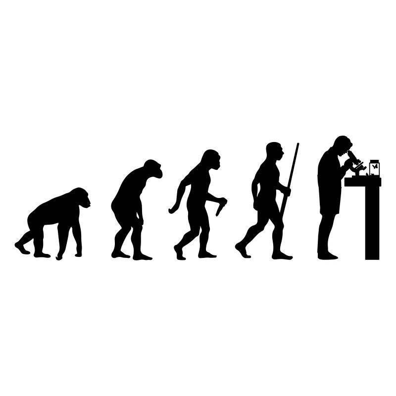 Biologe Evolution