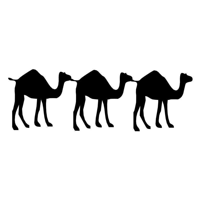 3 Camel