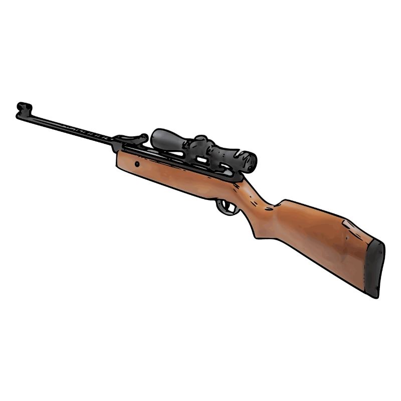 air rifle