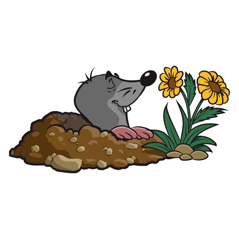 Mole Earth Mole Grêle Fleur Odeur Parfum Sp