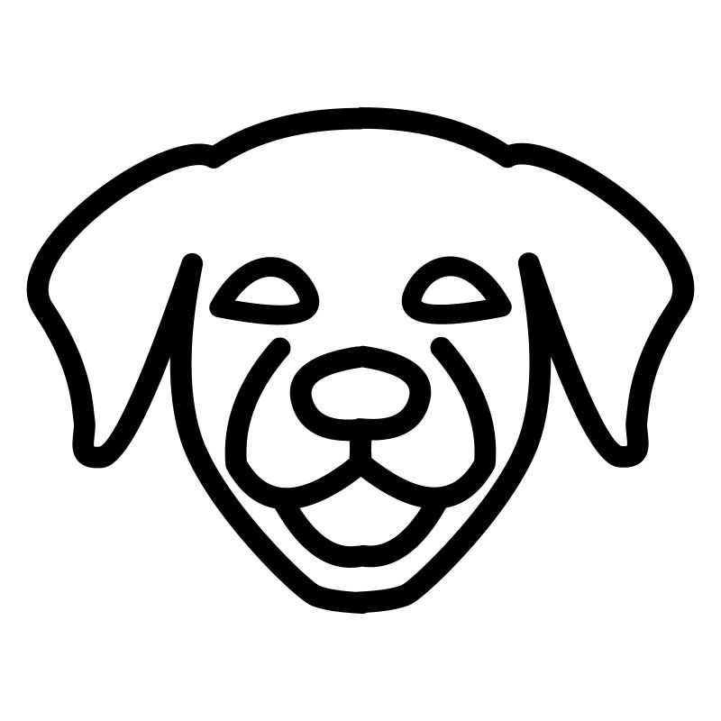 Chien