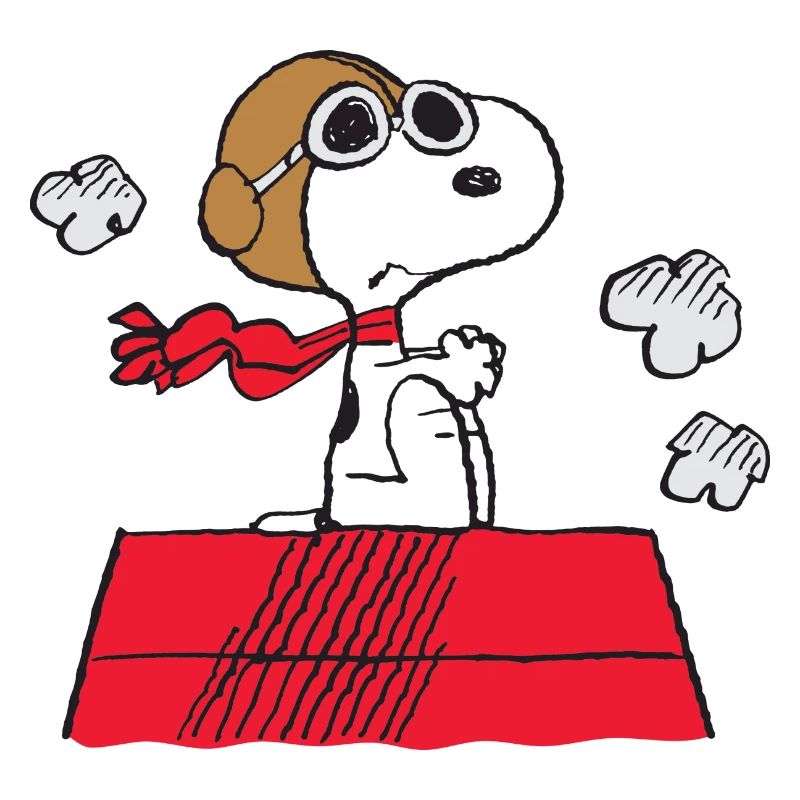 Peanuts Snoopy Pilot Fliegen