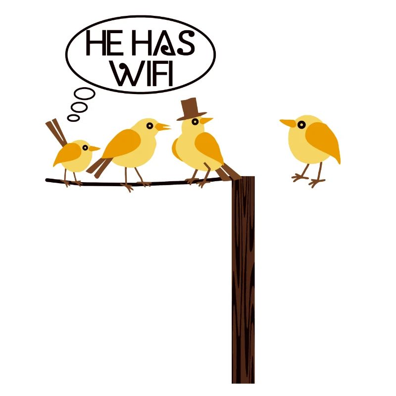 WLAN WIFI Vogel online Informatik
