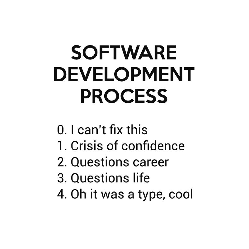 Software Development Process - Funny Shirt