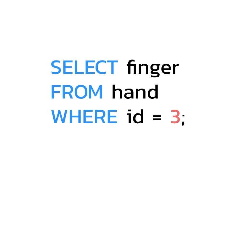 Funny SQL Middle Finger Developer