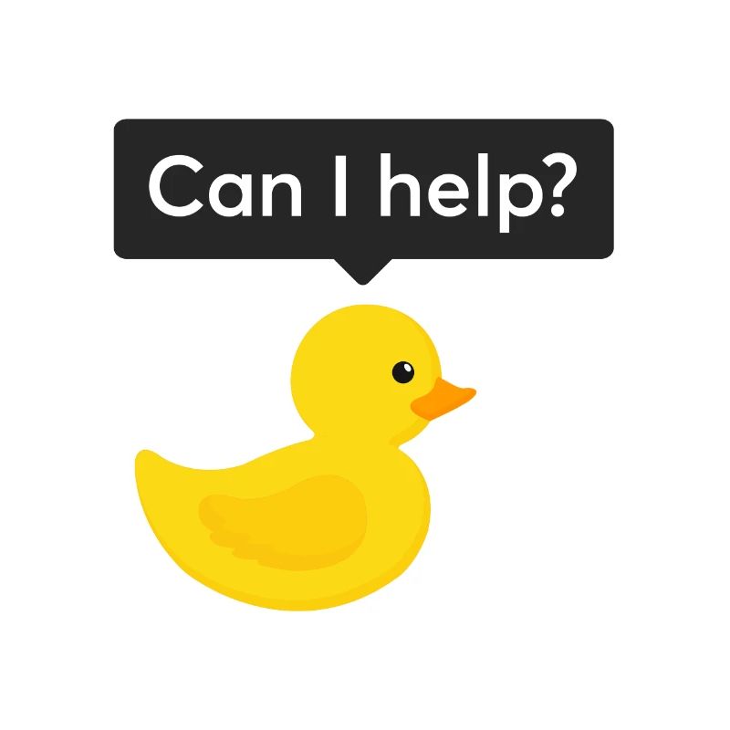 Programmer rubber duck debugging