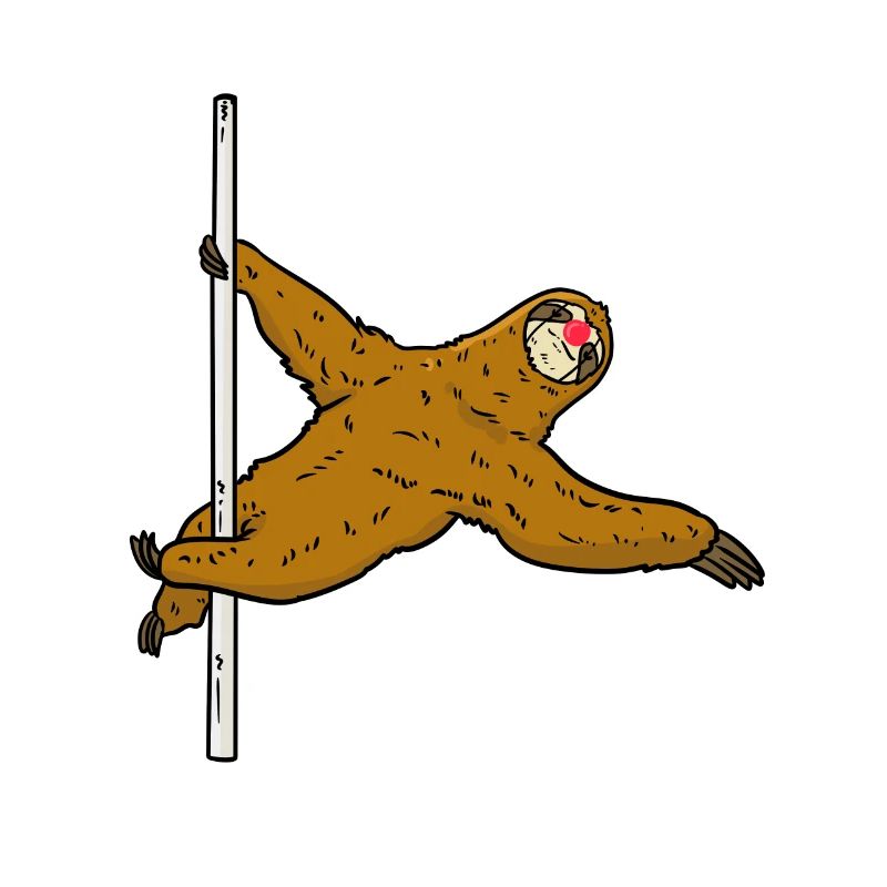 Pole Dance Sloth Pole Dance Faultier
