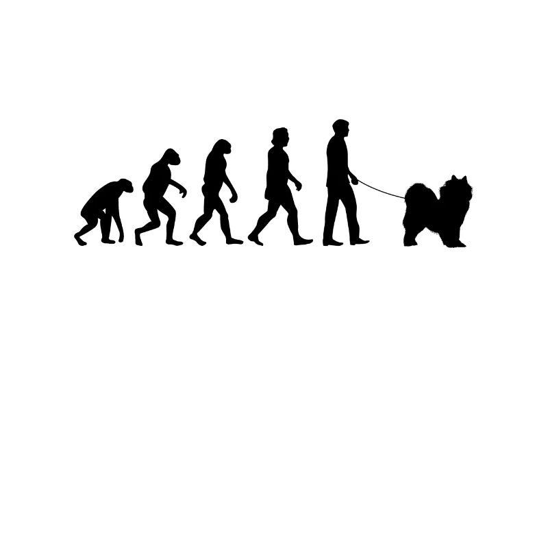 Samojede Evolution Schlittenhund Samojeden