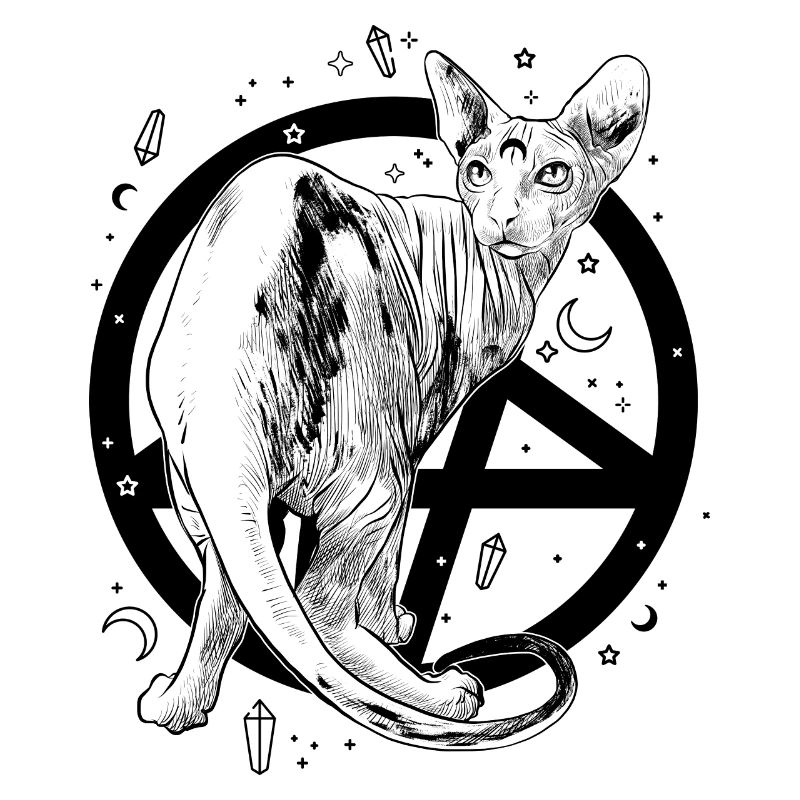 Chat pentagramme sorcière spynx étoile de lune