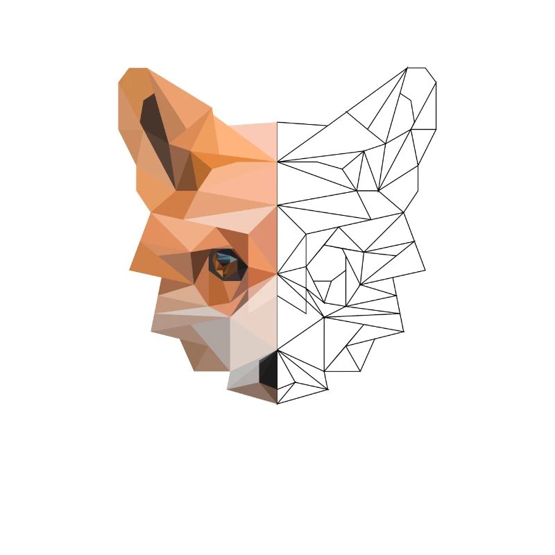 Fox polygon - red fox foxes nature