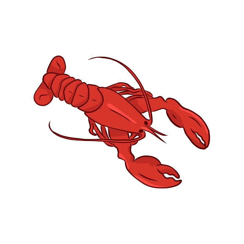 Lobster
