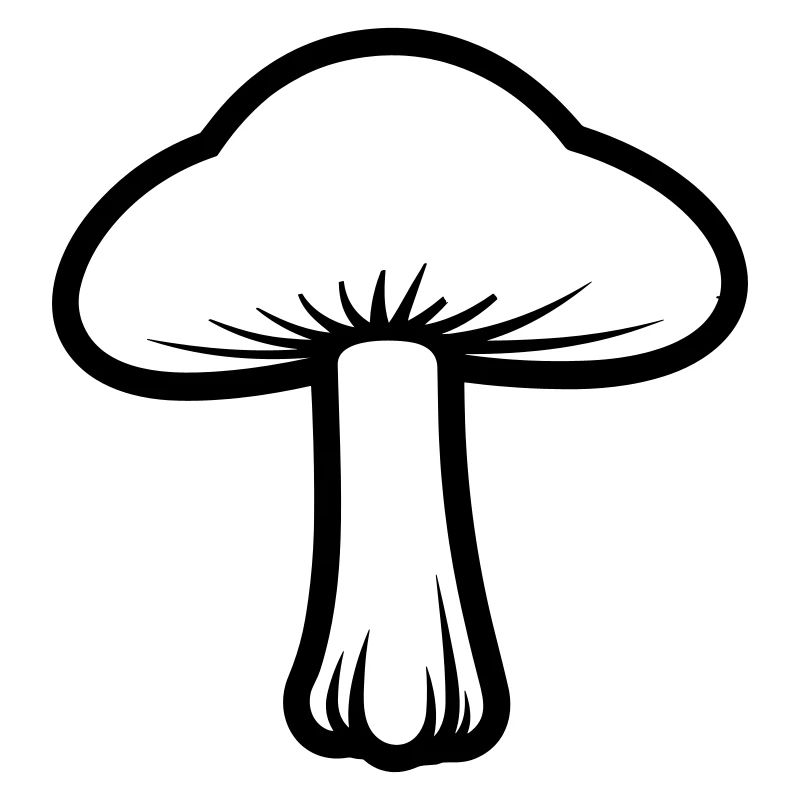 champignon