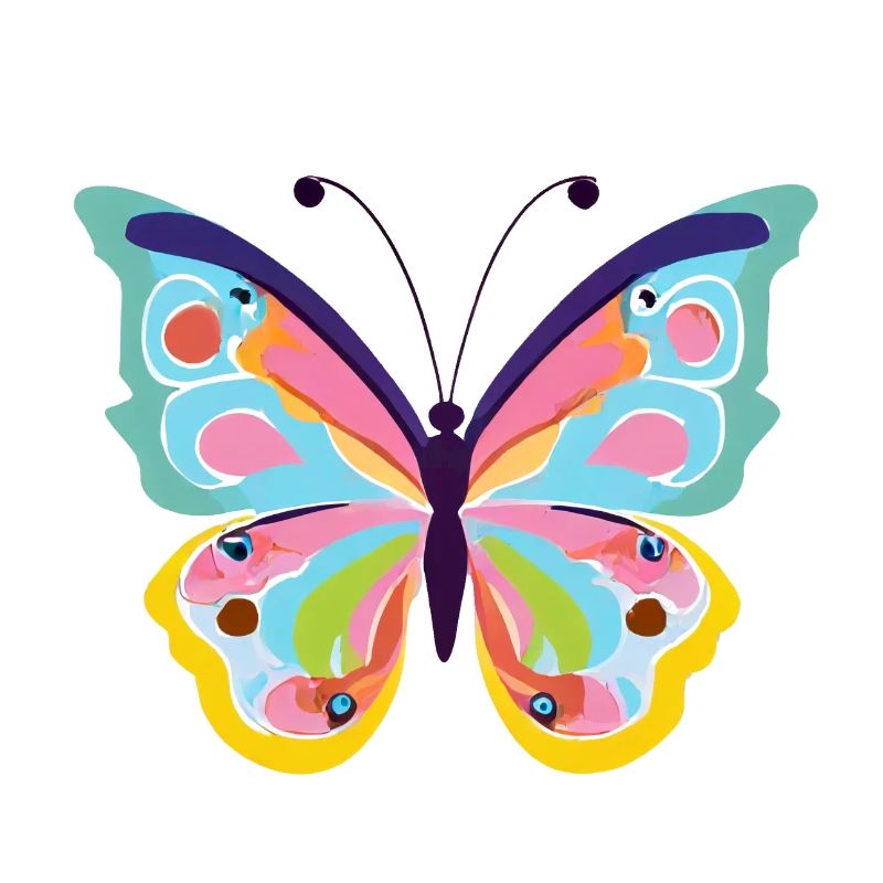 Papillon coloré