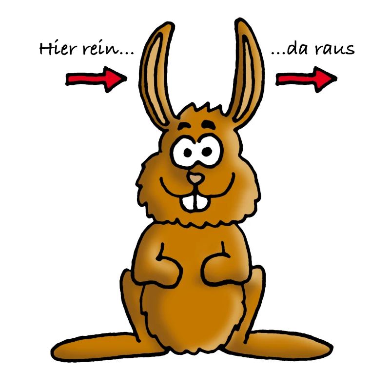 hase_02_b