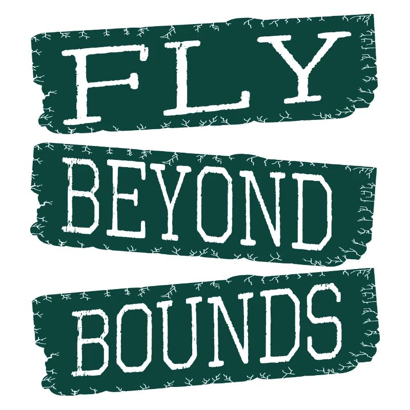 present imaginative minds innovative imagination