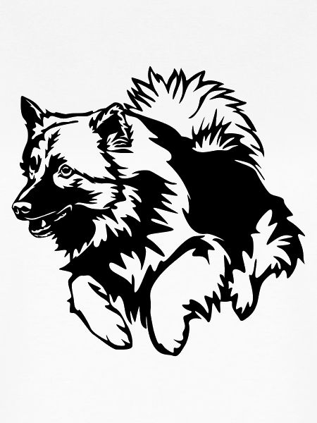 Wolfsspitz