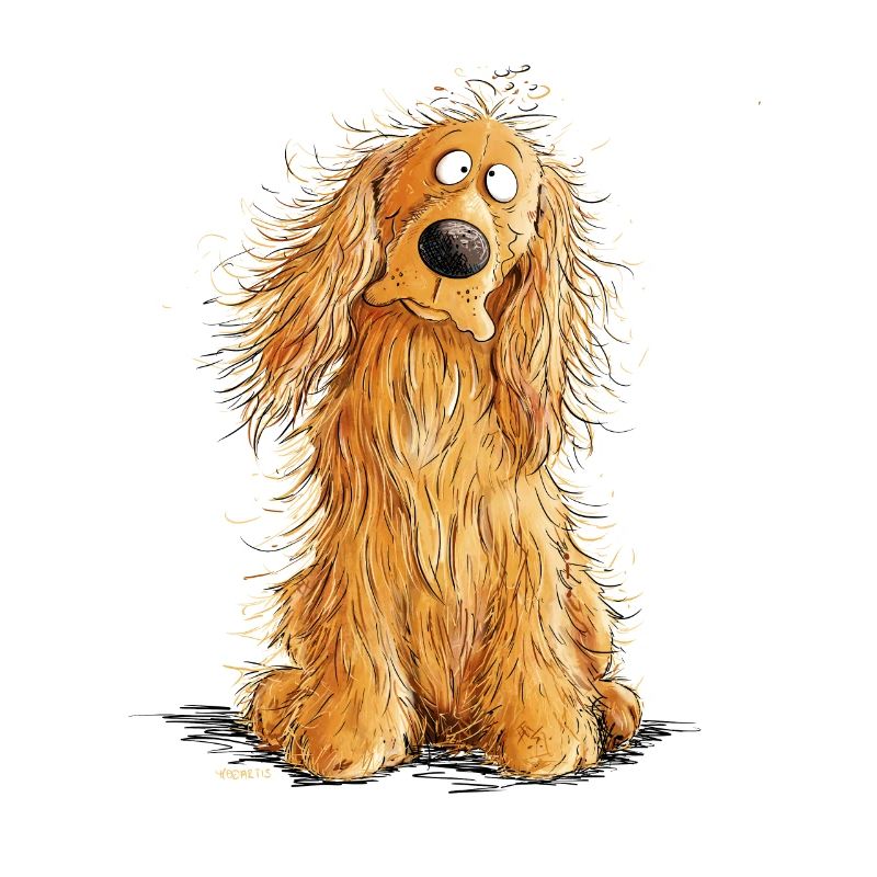 Cocker Spaniel heureux