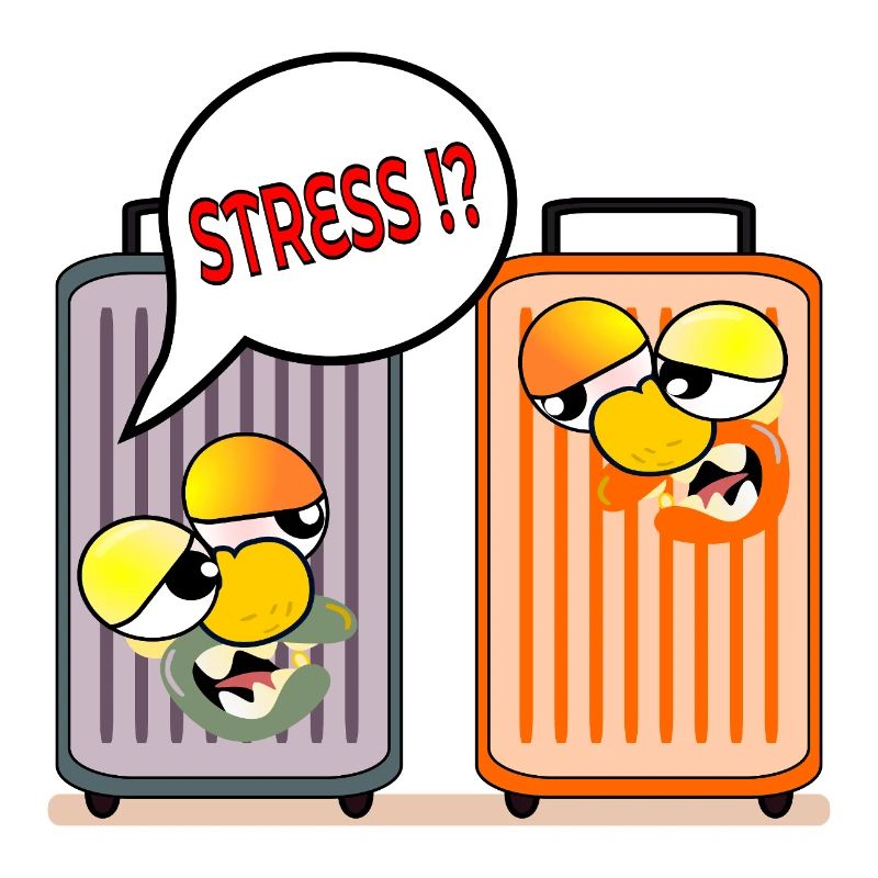 VALISE DE VACANCES STRESS VACANCES