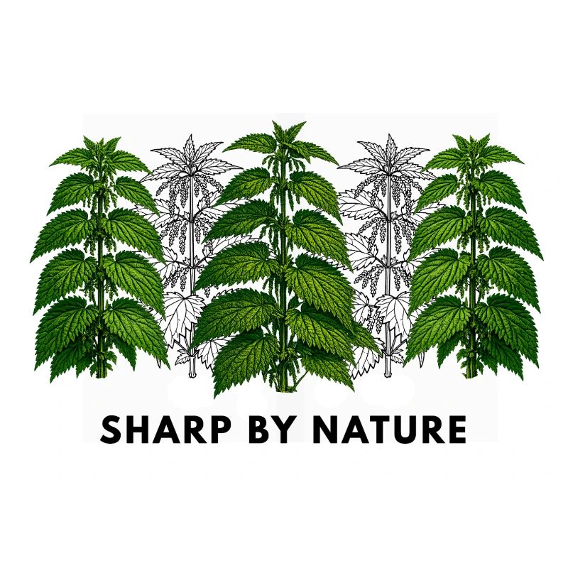 Stinging nettle is sharp by nature