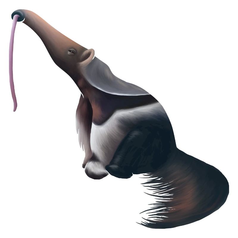 Sitzender Ameisenbär