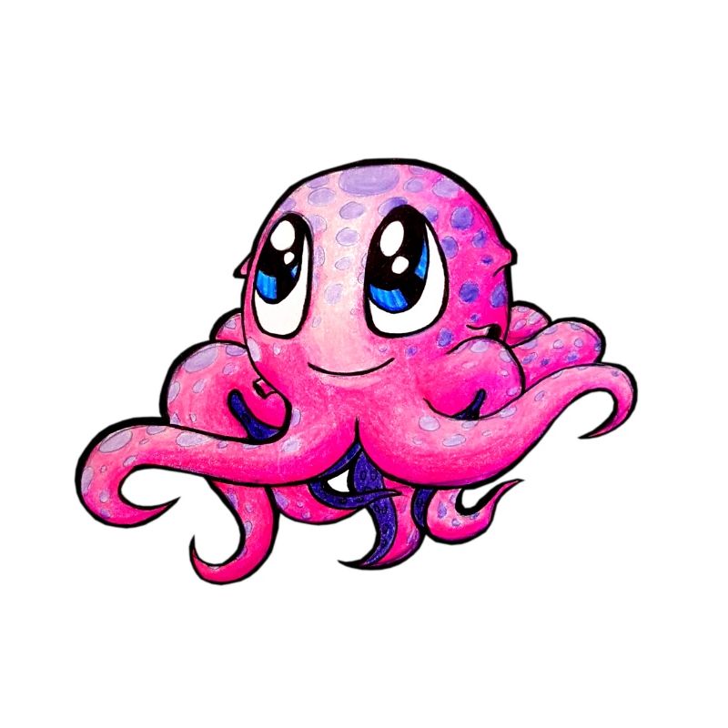 Octopus Octopus Squid Squid