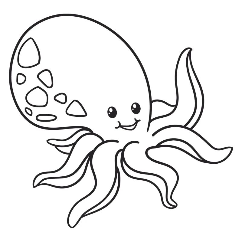 Octopus, squid, gift, gift idea