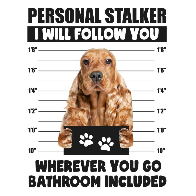 Persönlicher Stalker-Hund, englischer Cocker Spaniel-Welpe