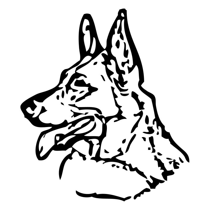shepherd © - www.dog-power.nl
