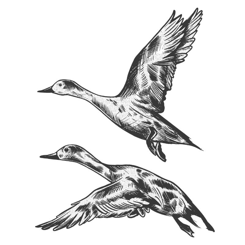 Flight duck