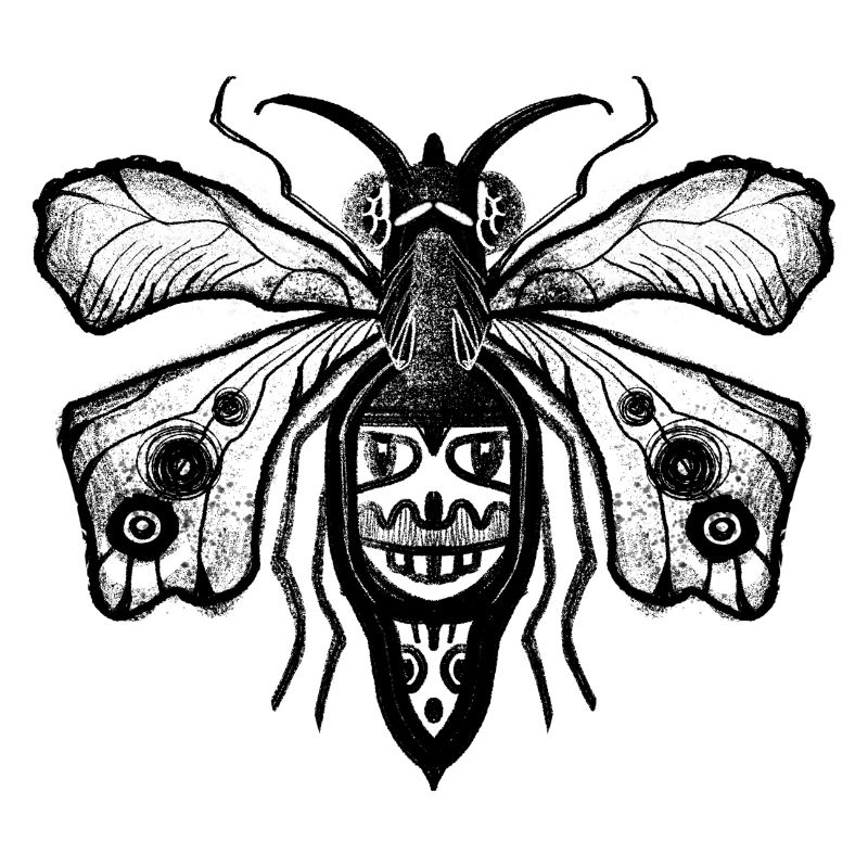 Dunkle Fliege