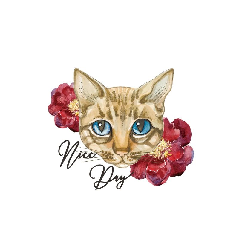Chats chat amour des animaux