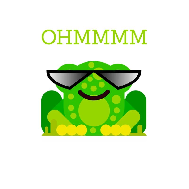Yoga frog ohmmmm meditation programmer