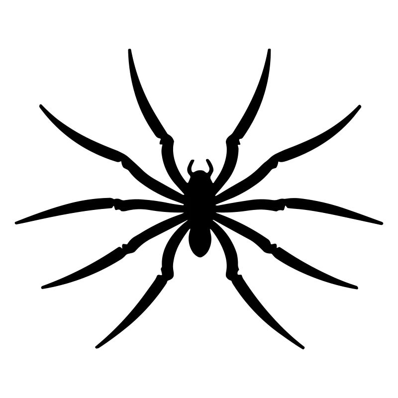 spider