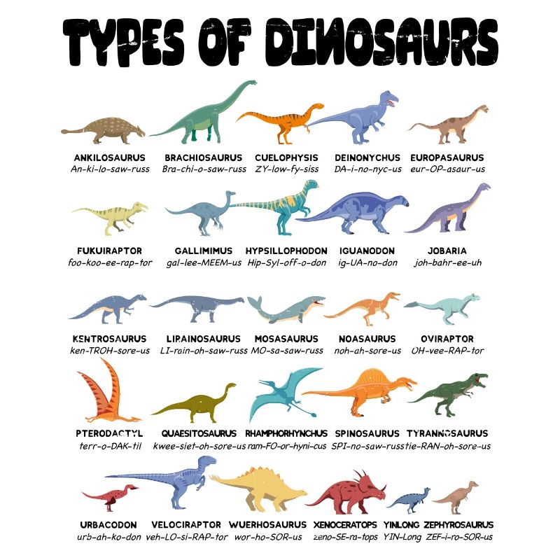 Types Of Dinosaurs Dino Identification - Cute