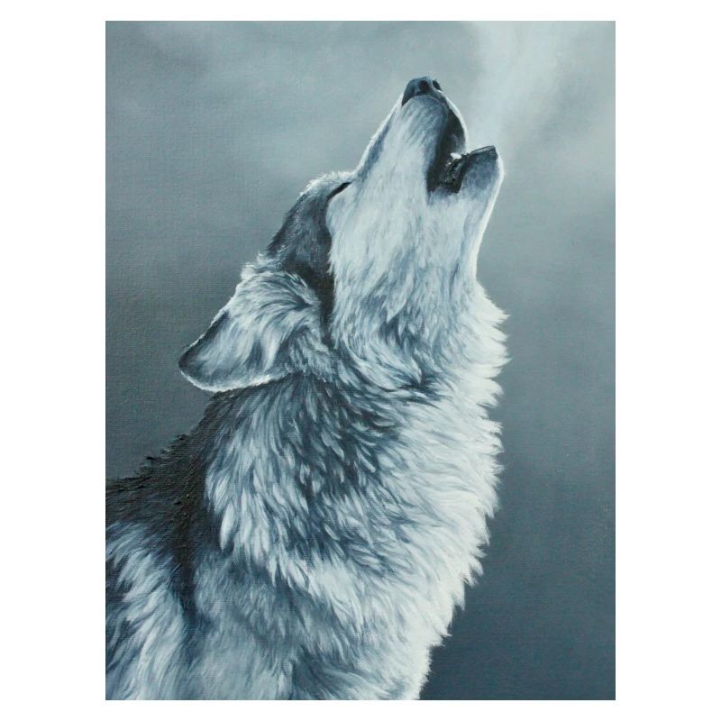 Loup gris
