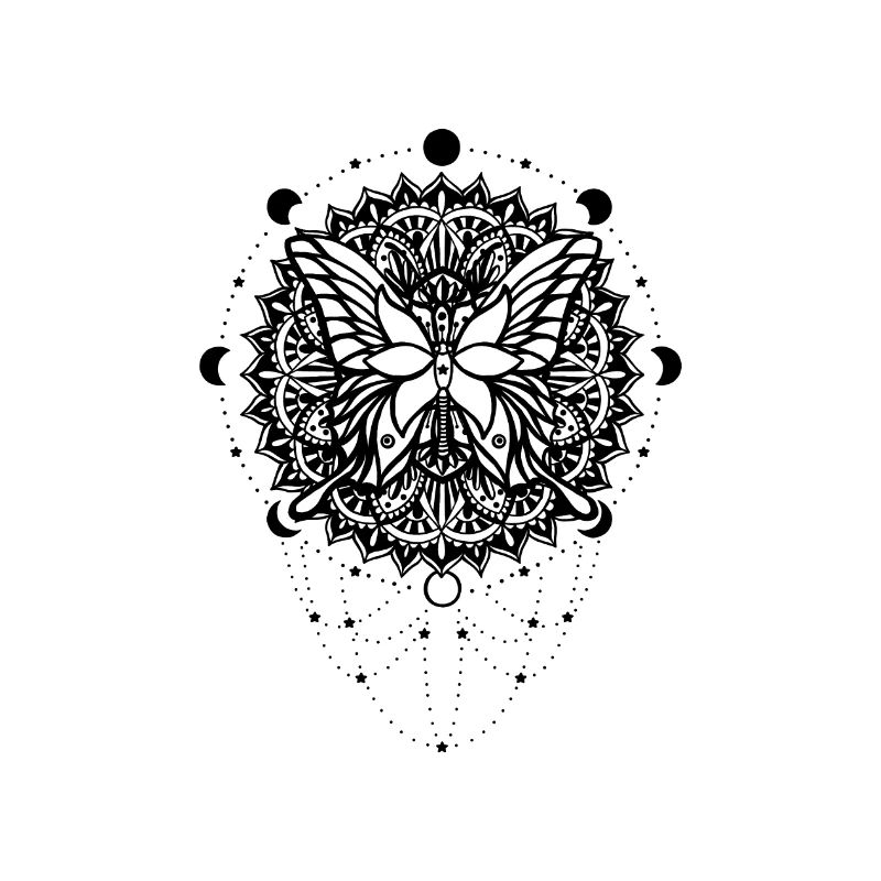 Papillon - animal de puissance