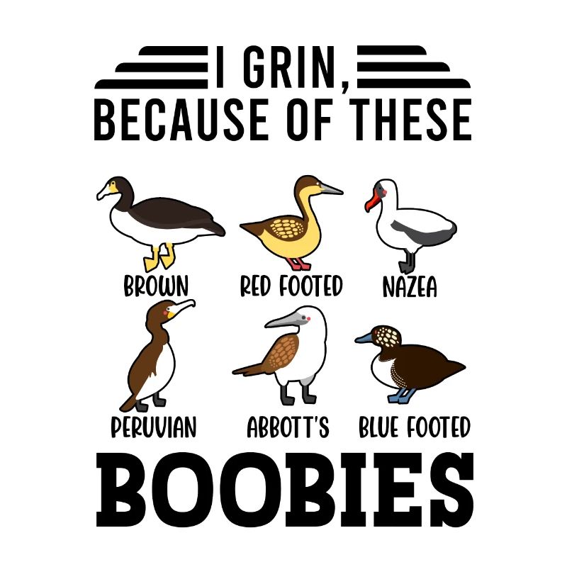 Funny Booby Seabirds Collection