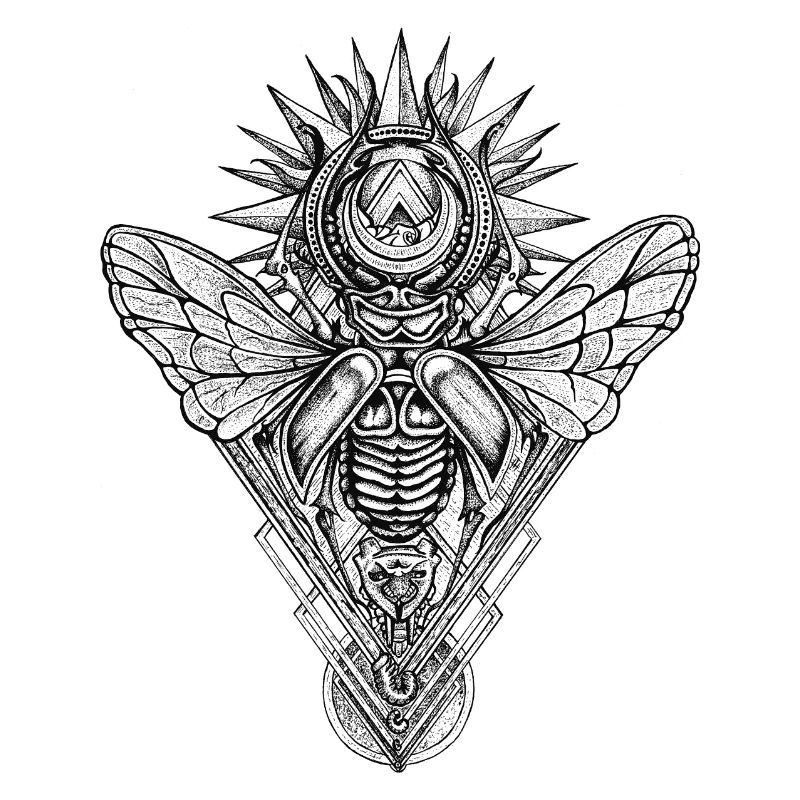 Stag Beetle