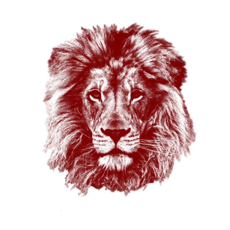 Lion Red