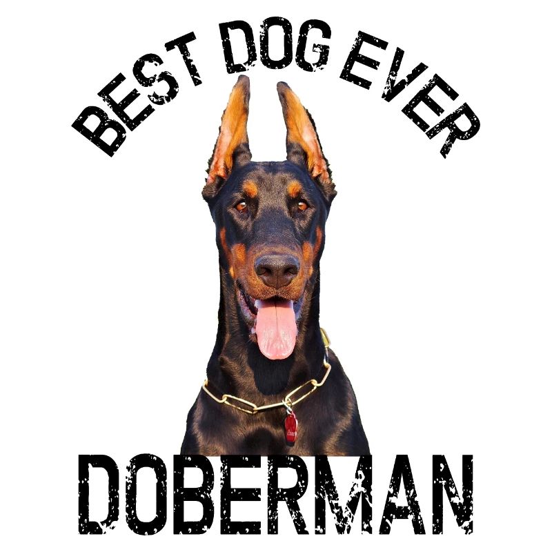 DOBERMANN