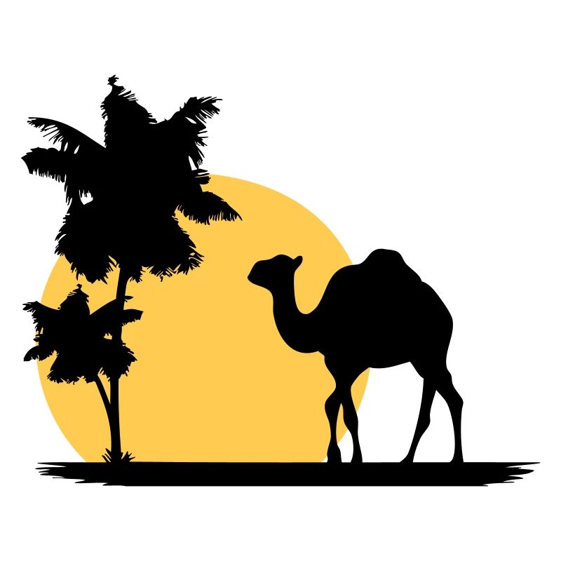 Camel - Kamel - Dromedar