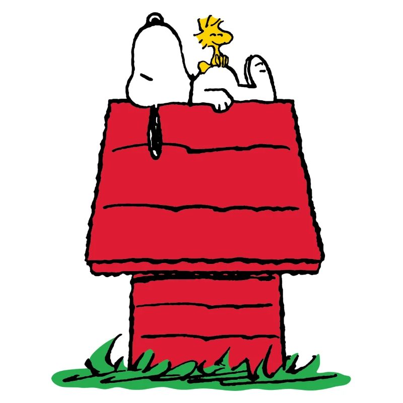 Peanuts Snoopy And The Doghouse