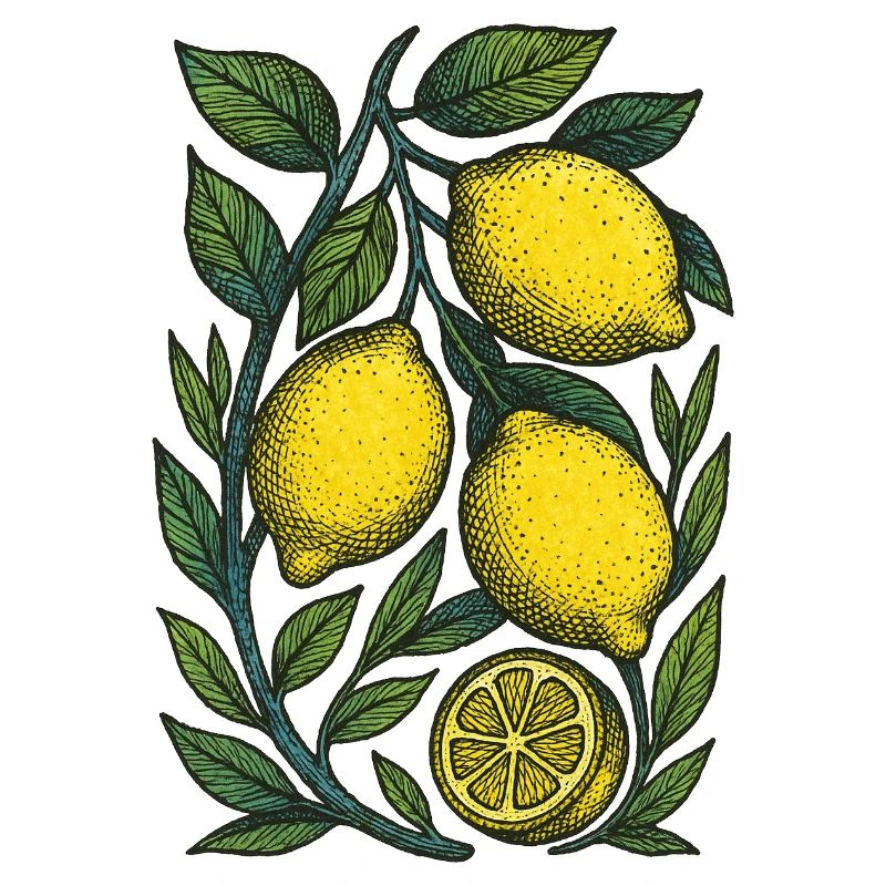 Lemon Branch Botanical Print