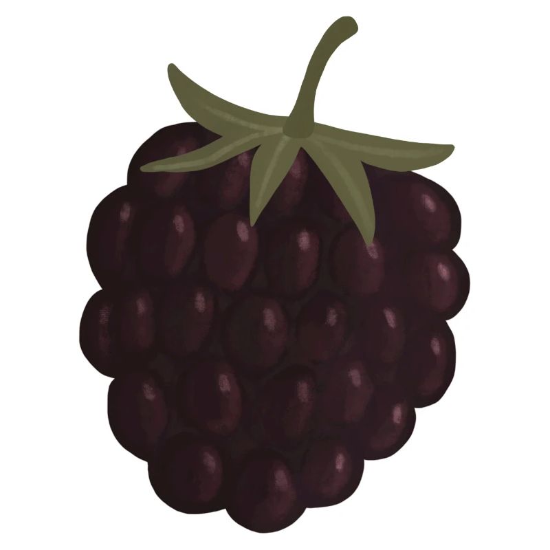 mûre