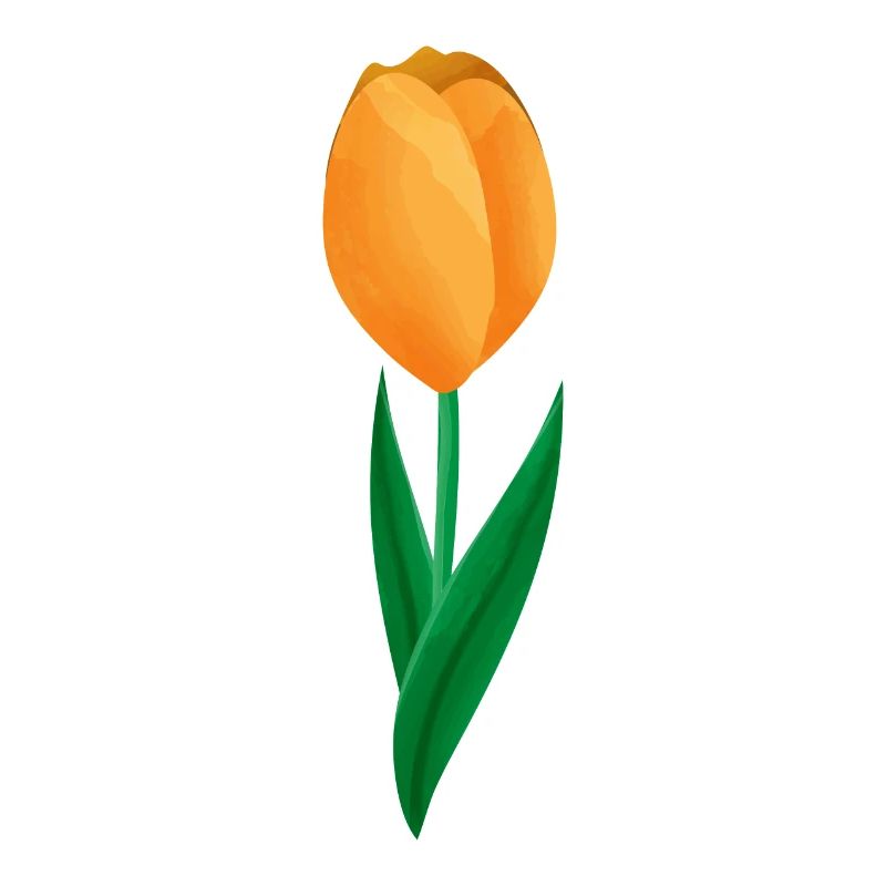 Flowers Spring Tulip - Gift Idea