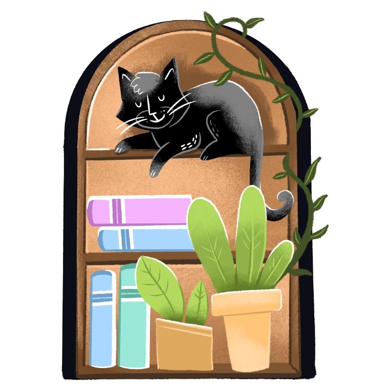 Cat on a dome shaped Bookshelf with plants