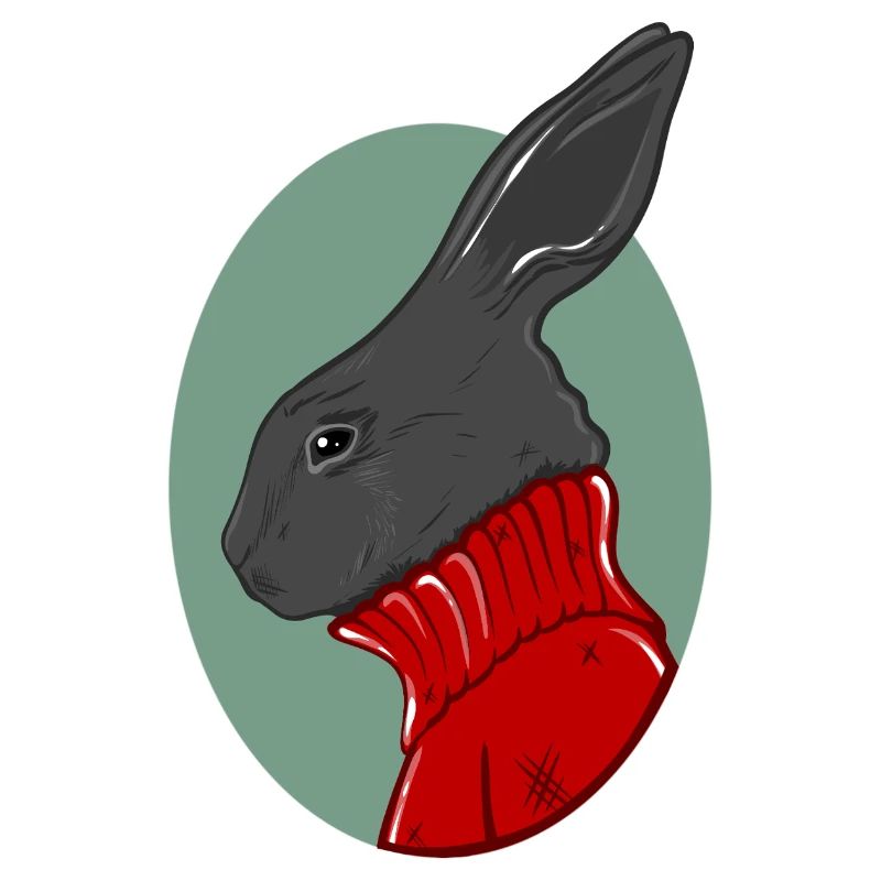 Lapin avec un pull rouge