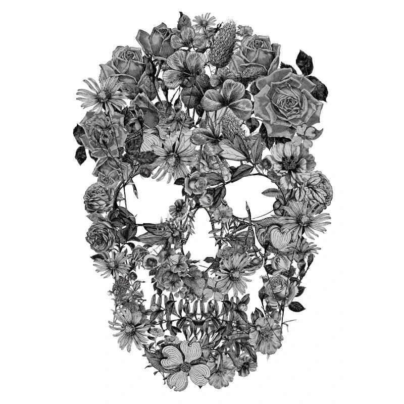 Crâne de fleur