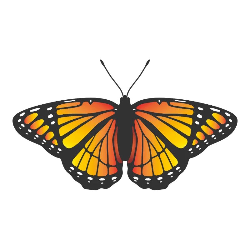 Monarque Papillon icône symbole logo papillon de nuit