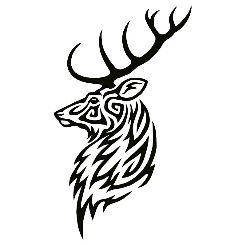 Hirsch